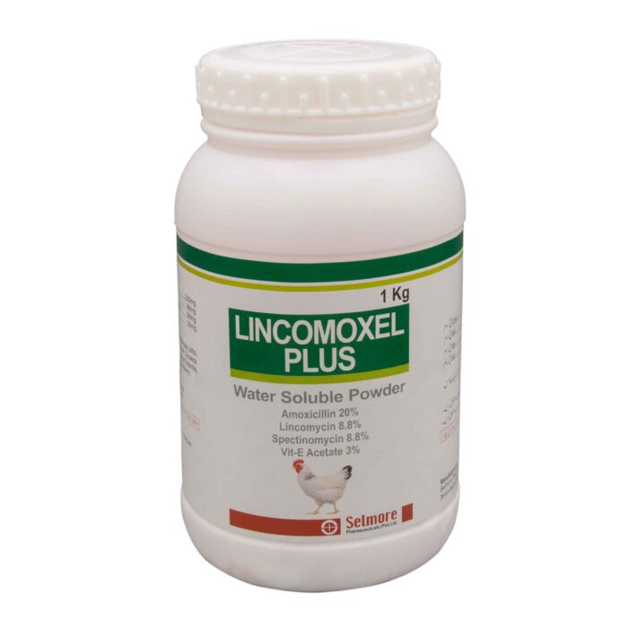 Lincomoxel Plus Oral Powder