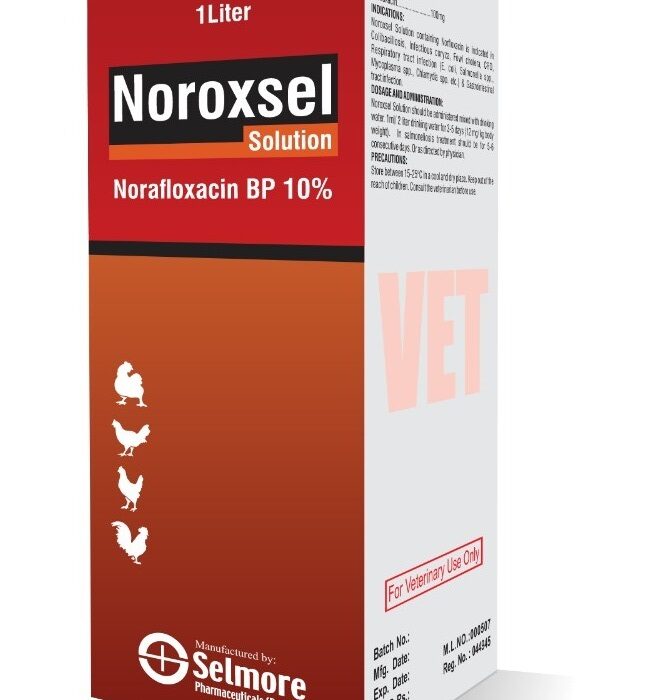 Noroxsel Solution