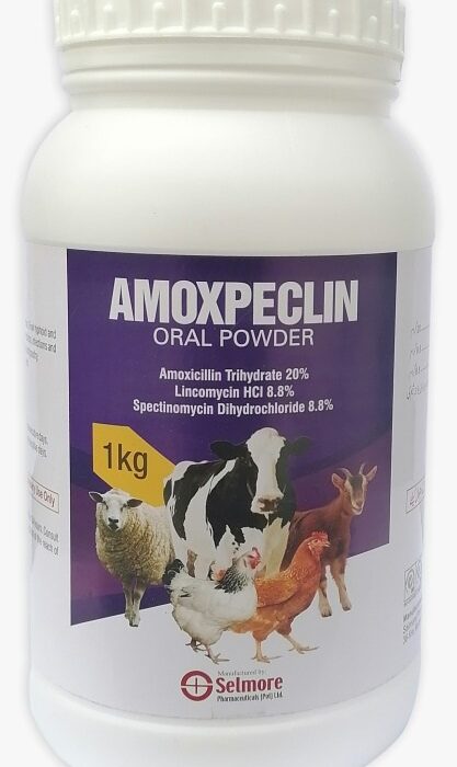 Amoxpeclin Oral Powder