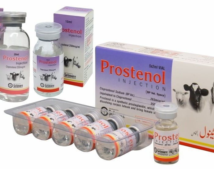 Prostenol Injection